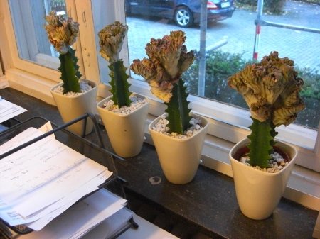 Zweiter Hausbesuch bei DocInsider